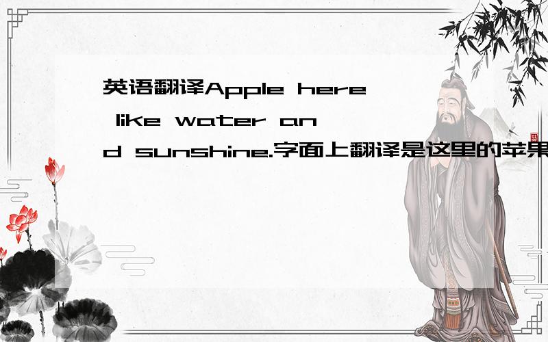 英语翻译Apple here like water and sunshine.字面上翻译是这里的苹果喜欢水和阳光,但是网上还有一种翻译是说苹果在这里是必需品.哪个更准确?Apples here like water and sunshine.不好意思,不是Apple 是Apples