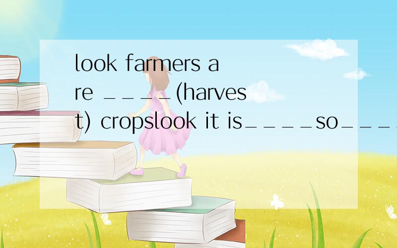 look farmers are ____(harvest) cropslook it is____so_____!Asnowing ,heavy B snowing,heavily选哪个为什么