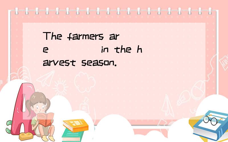 The farmers are_____in the harvest season.