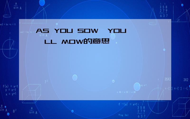 AS YOU SOW,YOU'LL MOW的意思