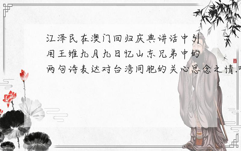 江泽民在澳门回归庆典讲话中引用王维九月九日忆山东兄弟中的两句诗表达对台湾同胞的关心思念之情.哪两句?