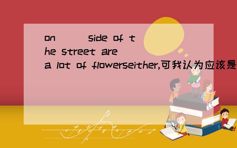 on___side of the street are a lot of flowerseither,可我认为应该是each