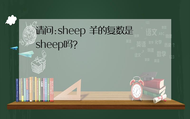 请问:sheep 羊的复数是sheep吗?