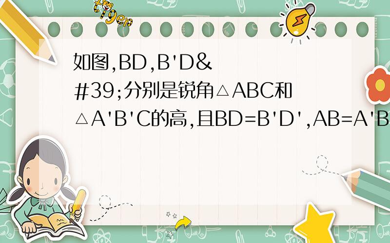 如图,BD,B'D'分别是锐角△ABC和△A'B'C的高,且BD=B'D',AB=A'B',AC=A'C'.求证△ABC≌△A'B'C'