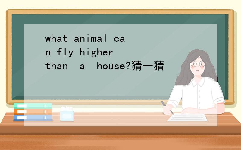 what animal can fly higher  than  a  house?猜一猜
