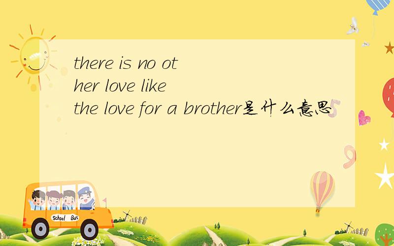 there is no other love like the love for a brother是什么意思