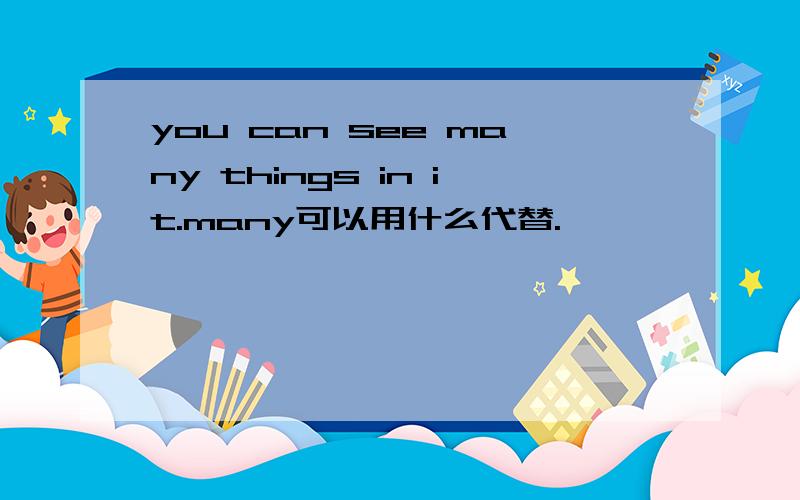 you can see many things in it.many可以用什么代替.